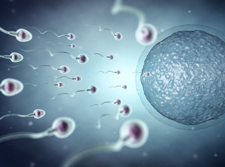 Mengapa Produksi Sperma Pria Bisa Menurun? Simak 5 Penyebabnya